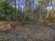 Lot of land with trees at 4820 Landover Arbor Pl, Raleigh, NC 27616