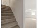 Carpeted staircase descending to a finished basement at 5620 Winthrop Dr, Raleigh, NC 27612