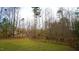 Large green backyard with a wood fence and a wooded area beyond it at 1226 Woodland Church Rd, Wake Forest, NC 27587