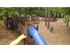 A large community playground area features a blue slide, wooden structures, and benches for relaxation at 211 Whitney Ln, Durham, NC 27713