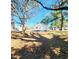 A backyard in a wooded area at 606 E Pearsall St, Dunn, NC 28334
