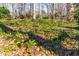 Ground view of the foliage in the backyard at 6500 Brandywine Rd, Raleigh, NC 27607