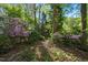 Lush garden with vibrant azaleas and mature trees, creating a tranquil and inviting outdoor space at 6504 Brandywine Rd, Raleigh, NC 27607