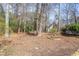 Backyard with a bird bath and a lush natural landscape at 816 Churchill Dr, Chapel Hill, NC 27517