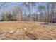 Large backyard featuring a path, mature trees and a fire pit at 3023 Whitfield Rd, Chapel Hill, NC 27514