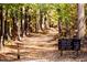 Well-maintained Raven Rock hiking trail, perfect for outdoor adventures at 46 Shay St, Angier, NC 27501