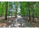 Long driveway leading to a contemporary home surrounded by lush greenery, offering privacy at 295 Cedar Rock Trl, Fuquay Varina, NC 27526