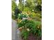Beautiful garden bed filled with a variety of colorful flowers, plants, and lush greenery at 5708 Creekfall Ln, Fuquay Varina, NC 27526