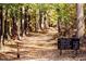 Explore scenic nature trails perfect for hiking and outdoor adventures at 64 Shay St, Angier, NC 27501