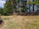 View of the backyard with tall trees and a wood fence at 1028 Dotson Way, Apex, NC 27523