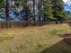 Wide view of the backyard with a wood fence, tall trees and grass at 1028 Dotson Way, Apex, NC 27523