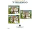 Three exterior elevation renderings with varying stone and paint colors on a two-story home at 1028 Dotson Way, Apex, NC 27523