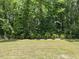 Lush backyard with mature trees and a well-maintained lawn for outdoor enjoyment at 1413 Buxus Ct, Fuquay Varina, NC 27526