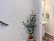 Bright half bathroom featuring a pedestal sink, decorative greenery, and neutral color palette at 2929 Great Lawn Rd, Apex, NC 27502