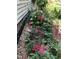 Picturesque landscaping showcasing vibrant pink flowers along the foundation at 4401 Sprague Rd, Raleigh, NC 27613