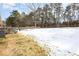 Large backyard with transitional ground cover and mature trees and foliage at 722 Forge Rd, Durham, NC 27713