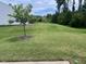 Large grassy backyard with privacy and shade trees at 124 Currituck Ln, Durham, NC 27703