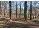 View of the spacious wooded backyard featuring tall trees at 2520 Summit Ln, Creedmoor, NC 27522