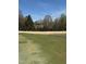 View of the golf course showcasing mature trees and lush landscaping, with a glimpse of the home at 3074 Granville Dr, Raleigh, NC 27609