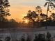 Scenic sunset view through trees overlooking a frosted golf course at 3074 Granville Dr, Raleigh, NC 27609
