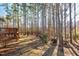 Expansive backyard with mature trees, shrubs, and a wooden deck ready for entertaining at 504 Crooked Pine Dr, Cary, NC 27519