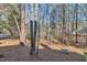 Tree-lined backyard offering a tranquil and private outdoor space at 6036 Epping Forest Dr, Raleigh, NC 27613