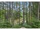 Scenic backyard view featuring lush trees, offering a peaceful and private outdoor environment at 689 Pine Ridge Pl, Raleigh, NC 27609
