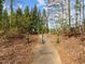 Walking path featuring tall trees, natural foliage, and green posts at 1195 Champion Dr, Cary, NC 27511