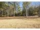 Yard area featuring tall trees and patchy grass under a bright sky at 41 E T Hanner Rd, Bear Creek, NC 27207