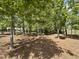 Secluded back yard with tall trees and pine straw ground cover, creating a serene outdoor space at 429 Teague St, Wake Forest, NC 27587