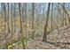 Picturesque backyard with mature trees and a small stream at 703 Caswell Rd, Chapel Hill, NC 27514
