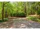 Backyard featuring mature trees, shed and basketball court at 703 Caswell Rd, Chapel Hill, NC 27514