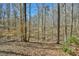 Wooded lot featuring mature trees and a creek at 703 Caswell Rd, Chapel Hill, NC 27514