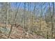 A wooded lot features mature trees and rock outcroppings along a hillside at 703 Caswell Rd, Chapel Hill, NC 27514