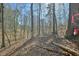A wooded lot features mature trees, a carpet of fallen leaves, and a pink ribbon on one tree trunk at 703 Caswell Rd, Chapel Hill, NC 27514