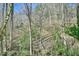A wooded lot features mature trees, undergrowth, and a glimpse of a house in the distance at 703 Caswell Rd, Chapel Hill, NC 27514