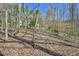 A wooded lot features mature trees and a carpet of fallen leaves, with a glimpse of the house behind at 703 Caswell Rd, Chapel Hill, NC 27514