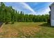 Large, grassy backyard featuring lush trees on a sunny day; excellent for recreation and relaxation at 201 Northview Dr, Middlesex, NC 27557
