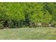 Lush backyard with a neatly manicured lawn and beautiful landscaping, providing a serene outdoor space at 219 Colvard Park Dr, Durham, NC 27713