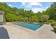 Serene in-ground pool surrounded by lush greenery, offering a private oasis with lounge chairs for relaxation at 219 Colvard Park Dr, Durham, NC 27713
