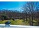 Expansive backyard with lush greenery, mature trees, and a clear blue sky at 319 W Margaret Ln, Hillsborough, NC 27278