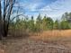 An open property view showing trees and an expanse of dry grasses at 322 Blackstone Rd, Sanford, NC 27330