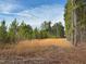 Outdoor shot of wooded property area with a partly cloudy sky above at 322 Blackstone Rd, Sanford, NC 27330
