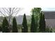 Charming backyard featuring tall, well-manicured trees at 401 Lawton Dr, Haw River, NC 27258