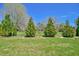 Lush green yard with neatly arranged trees creating a picturesque and serene landscape at 7055 Old 421 Rd, Liberty, NC 27298