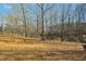 Large backyard with mature trees and a blanket of fallen leaves at 938 Widewaters Pkwy, Knightdale, NC 27545