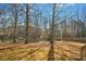 Backyard with leafy ground and woods in background at 938 Widewaters Pkwy, Knightdale, NC 27545