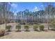 Tranquil backyard featuring a lush pond surrounded by trees and manicured bushes at 146 Skyros Loop, Cary, NC 27519