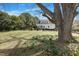 Lush green backyard with a mature tree overlooking the home and vibrant spring growth at 206 S Salem St, Apex, NC 27502
