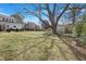 Spacious backyard with a large tree providing shade and ample space for outdoor activities at 206 S Salem St, Apex, NC 27502